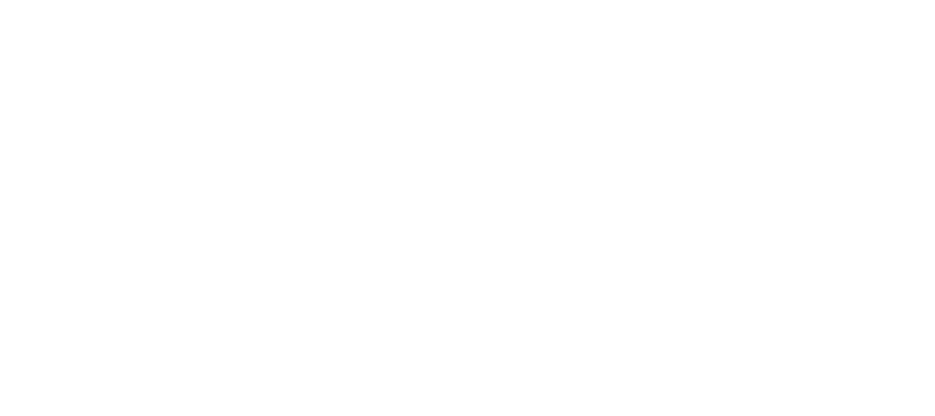Aeronestdock