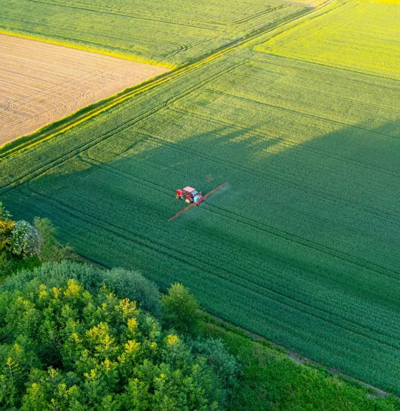 Agricultural field seen during an aerial mission
