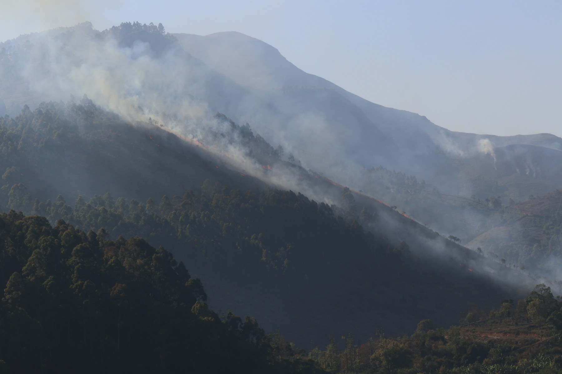 Smoke rising across a forested mountain slope during a wildfire