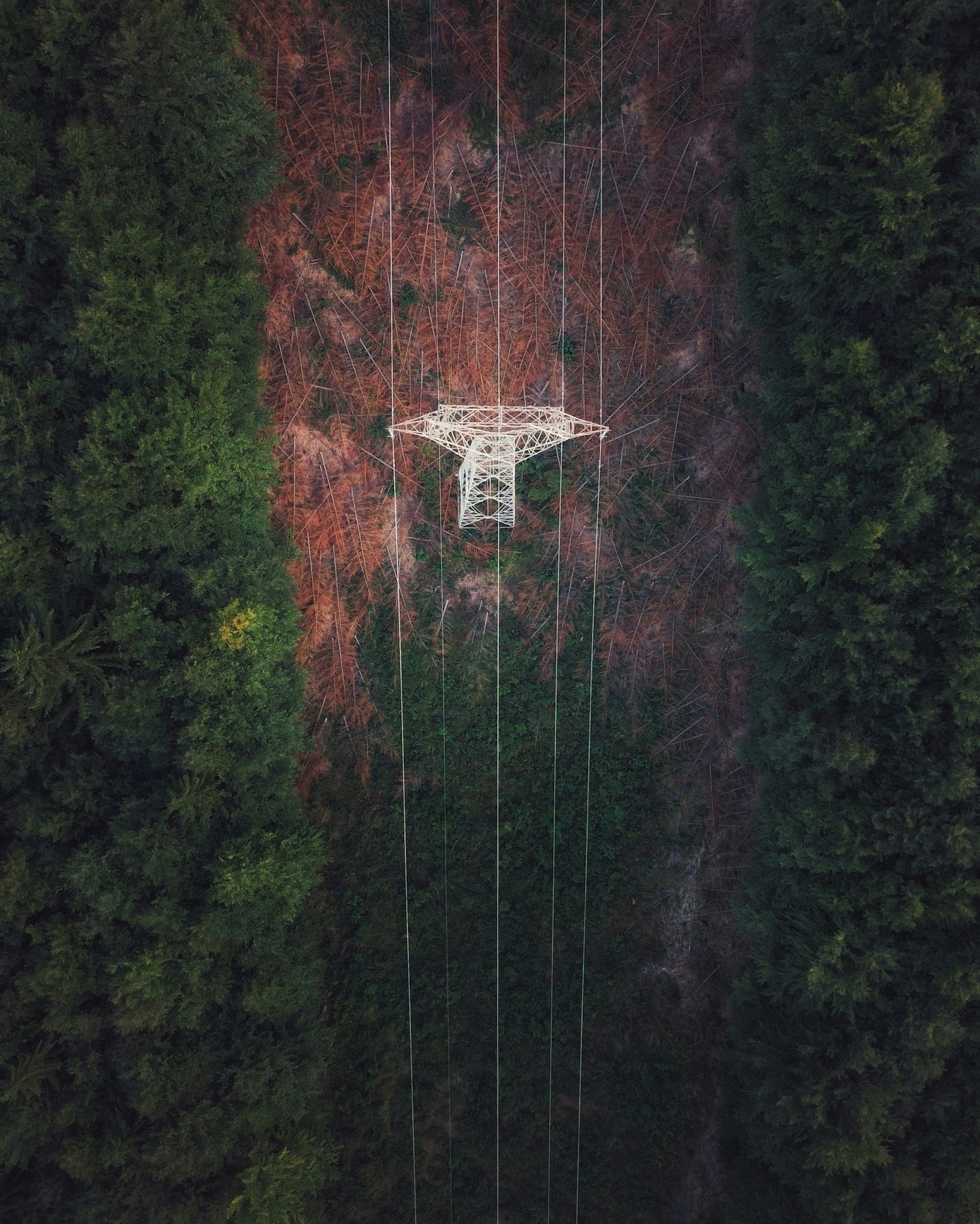 Aerial view of a transmission tower and cleared right-of-way through dense forest